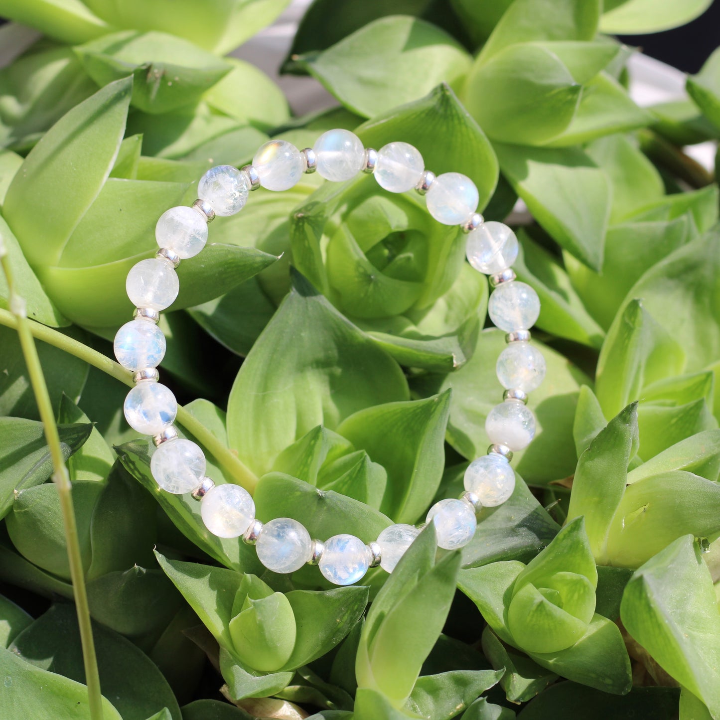 Rainbow Moonstone AA Power Bracelet With Sterling Silver & Free Tumble Stone