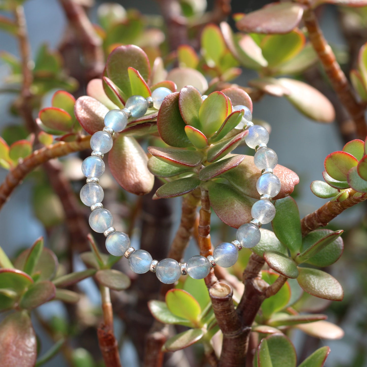 Labradorite Light AA Power Bracelet With Sterling Silver & Free Labradorite Tumble Stone