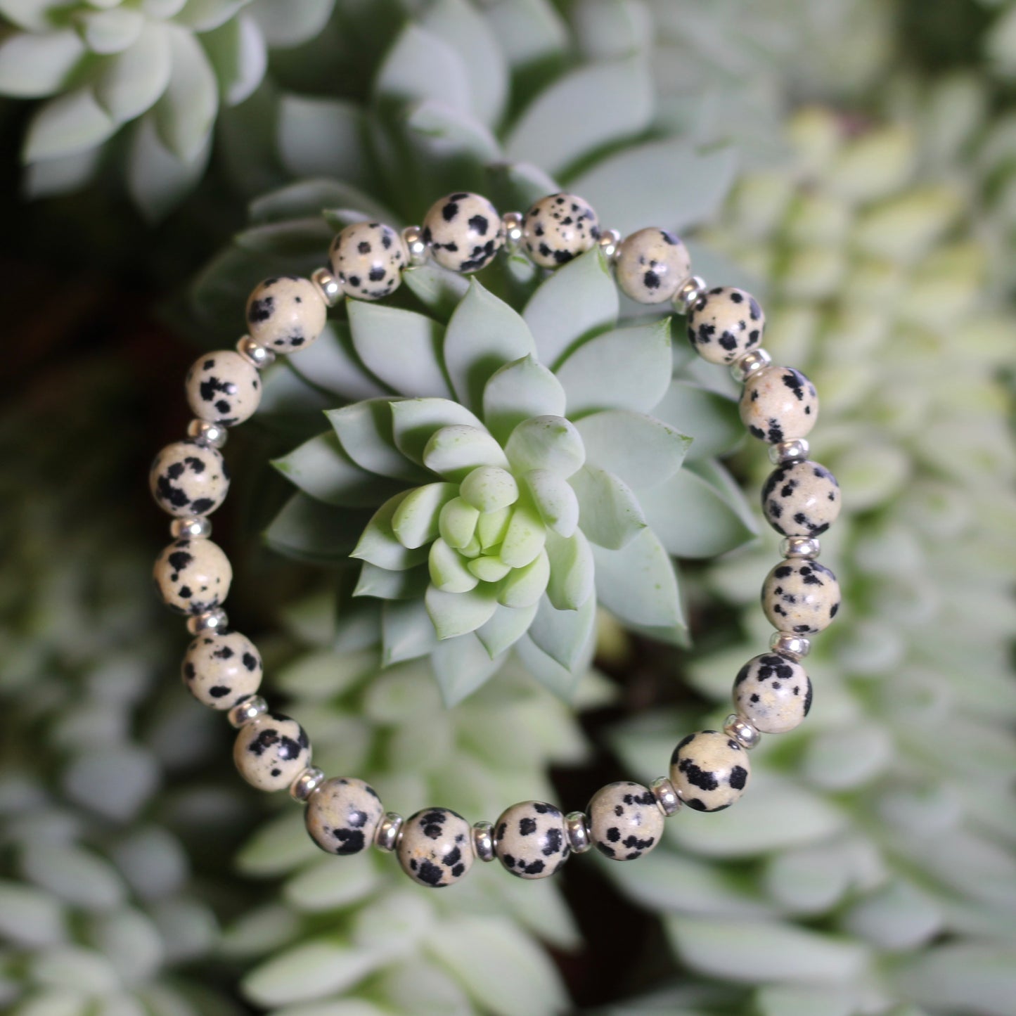 Dalmatian Stone Power Bracelet With Sterling Silver & Tumble Stone