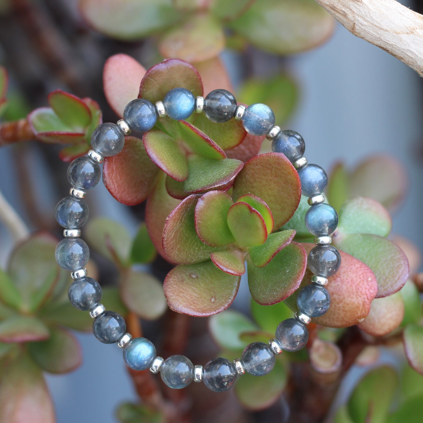Labradorite Dark AA Power Bracelet With Sterling Silver & Labradorite Tumble Stone
